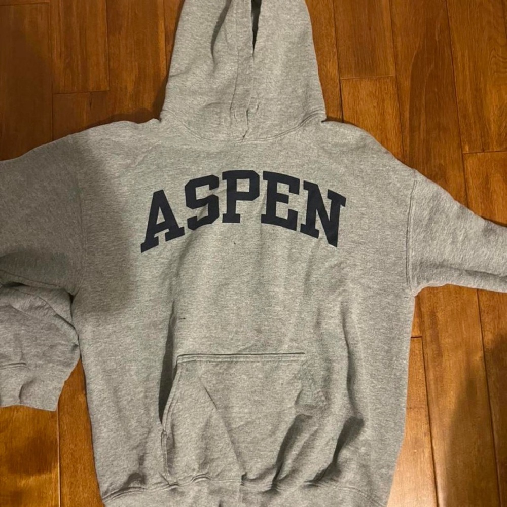 small grey hoodie